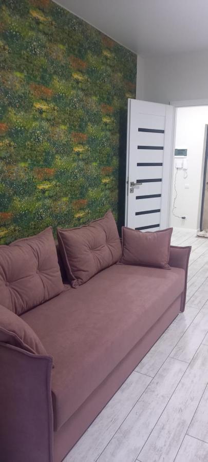 Dream Town Apartaments Біля Залізничного Вокзалу 루치크 외부 사진